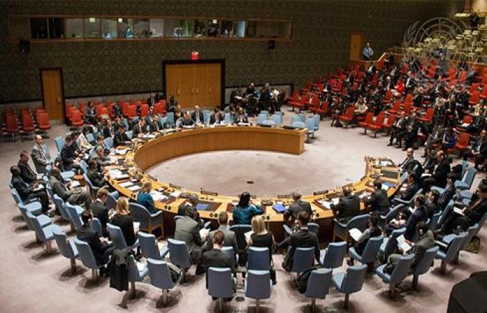 اجتماع مرتقب لمجلس الأمن بشأن سوريا بعد تقييم الاحتياجات الإنسانية