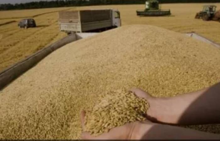 أوكرانيا: تصدير 46.7 مليون طن من الحبوب والمحاصيل البقولية في أقل من عام