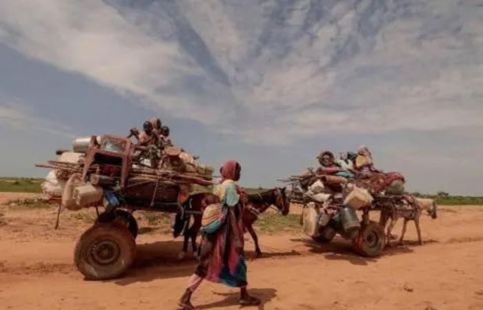 التحقيقات الجنائية تكشف اعتداء منظما ومنهجيا في السودان