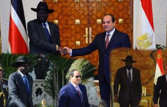 السيسي يؤكد اعتزام مصر إرسال شحنة مساعدات طبية لجنوب السودان