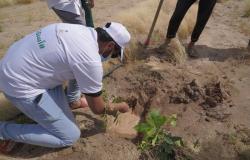 "تطوير مكة" تطلق مبادرة تجميل وتحسين متنزه العين بالليث