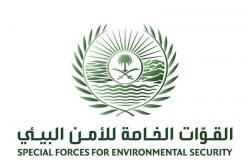 "الأمن البيئي" يسيطر على كائن فطري طليق في أحد أحياء الرياض