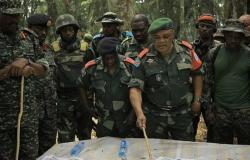 حملة عسكرية للجيشين الكونغولي والأوغندي على المتمردين في محمية فيرونغا