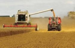 روسيا تفرض حظرا مؤقتا على تصدير منتجات زراعية