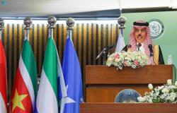 وزير الخارجية: المليشيا الحوثية ترفض الحل السياسي