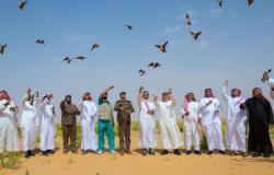 هيئة تطوير محمية الملك عبدالعزيز تطلق 92 كائنا فطريا