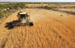 روسيا: مستعدون لإمداد الدول الفقيرة بـ 500 ألف طن من الحبوب خلال 4 أشهر