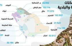 الرياض وجدة وعسير الأعلى في منح الأراضي