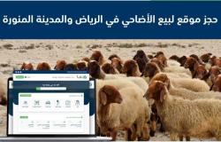 إطلاق الحجز الإلكتروني لبيع الأضاحي في 12 موقعا في الرياض والمدينة