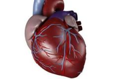 اختبار بسيط للدم يكشف إصابة عضلة القلب بالضرر
