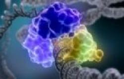 صورة ثلاثية الأبعاد لتغيير كروموزومات خلايا الجهاز المناعي