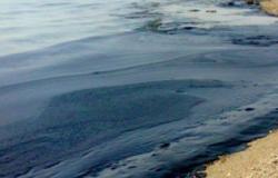 شئون البيئة بالبحر الأحمر: 1.5 مليون أضرار تسرب بقعة الزيت برأس غارب