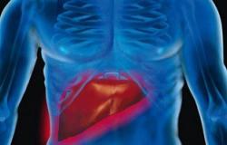 دراسة علمية: مادة البروبيوتيك فى الزبادى تقلل الإصابة بسرطان الكبد