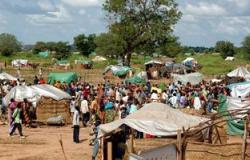 السودان: إجراءات لعودة 10 آلاف أسرة نازحة إلى قراهم الأصلية بدارفور