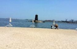 بالصور.. 5 شواطئ بالإسكندرية تهدد المصطافين بسبب تلوثها بمياه الصرف الصحى