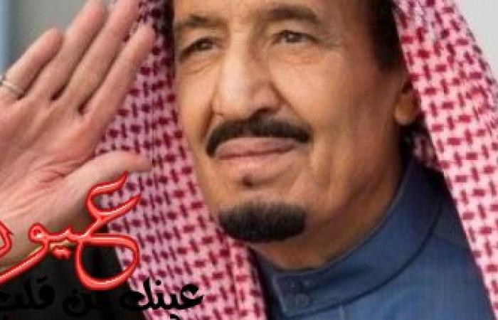 الملك سلمان يصرح مصر عادت من جديد