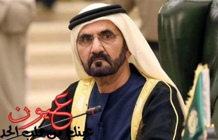 كيف عاقب حاكم دبي 3 متهمين بتعذيب قطة؟