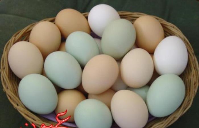 هل تعلم ماذا يحدث للجسم عند المداومة على تناول البيض يومياً؟