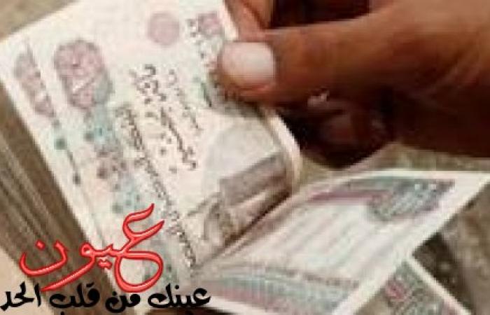 بشرى سعيدة العلاوة في جيب الموظف قبل عيد المال وزيادة المعاشات اقتربت