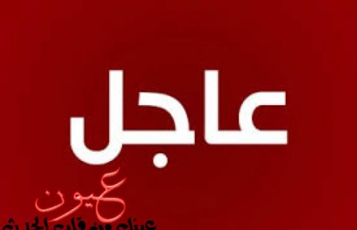 عاجل : بالفيديو || رصد الكاميرات  لحظة تفجير الكنيسة المرقسية ومنفذ العملية الانتحارية