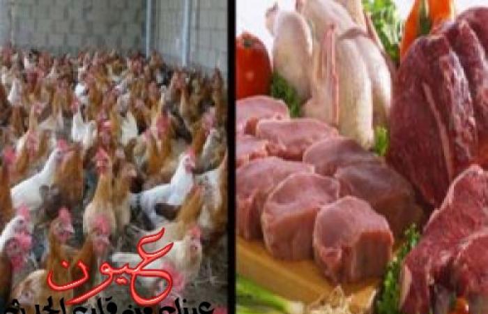 مع اقتراب شهر رمضان.. ارتفاع أسعار اللحوم لـ 140 جنيهًا والدواجن لـ 30 جنيهًا في الأسواق