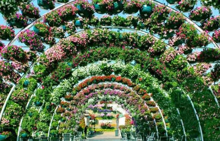 بالصور.. دبي تضم أكبر حديقة زهور في العالم