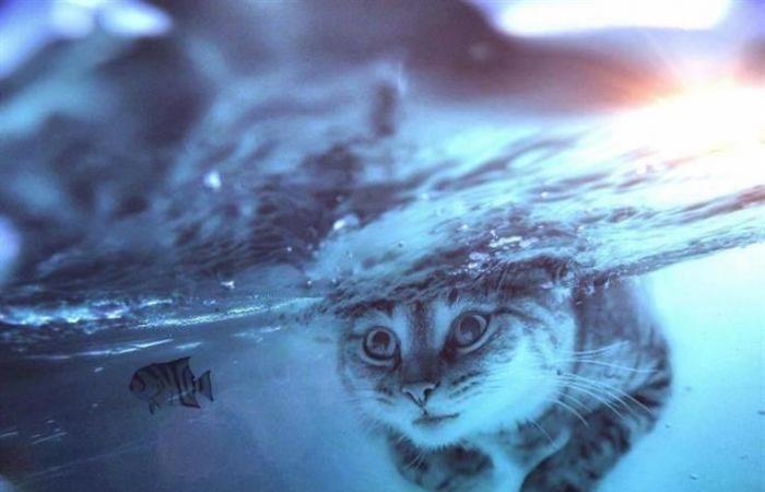 بالصور.. مصمم جرافيك روسي يغزو العالم بحيوانات عملاقة