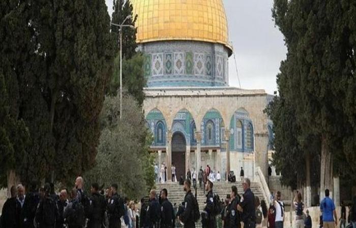 الخارجية : الإنتهاكات الإسرائيلية ضد المسجد الأقصى استفزازاً لمشاعر المسلمين
