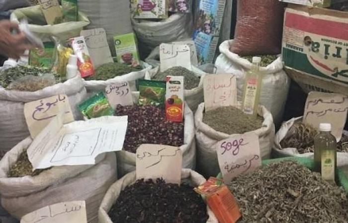 «أعشاب الرصيف» تهدد حياة المصريين.. وأخصائيون: يجب القضاء على الظاهرة