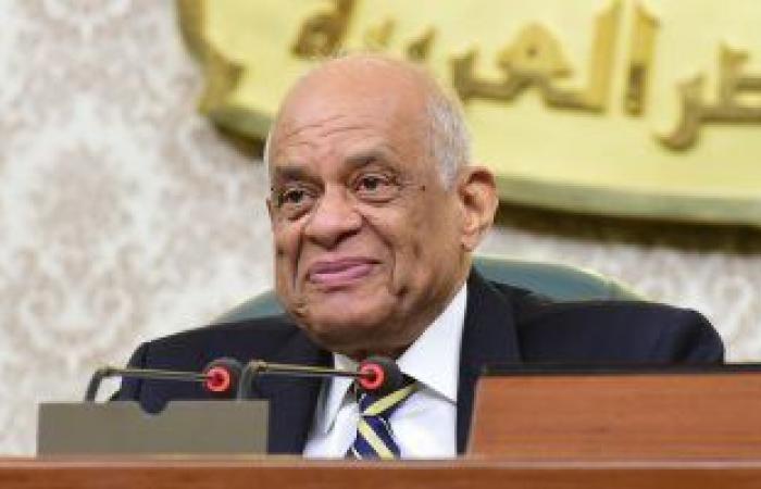 مجلس النواب يوافق على انضمام مصر إلى الميثاق العربى لحقوق الإنسان