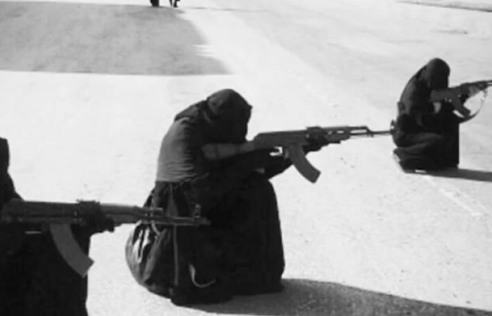 طالبة تونسية شقيقها يخدم في الجيش الفرنسي... تروي كيف انتقلت إلى "داعش"