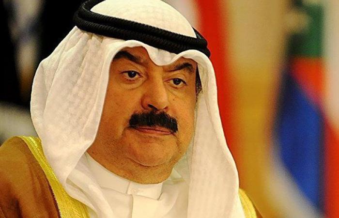 منصب جديد للنائبة التي اتهمت بالتأثير على العلاقات المصرية الكويتية