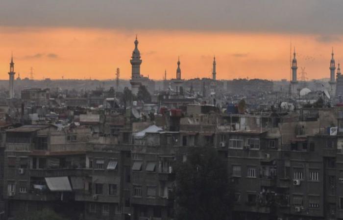 نائب روسي: روسيا جلبت إلى سوريا السلام والأمل في حياة جديدة