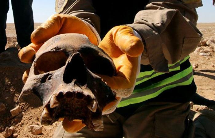 بالصور... الكشف عن مقبرة جماعية لأكراد قتلوا في عهد صدام حسين