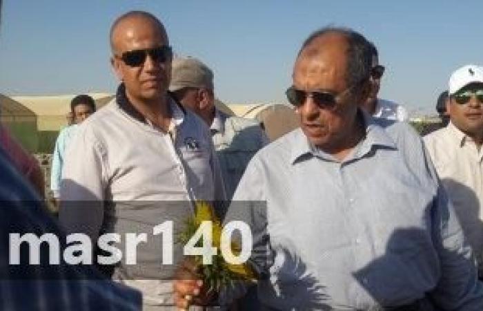 وزارة الزراعة تنفي إشاعة انتشار الدودة القاتلة بين المحاصيل الزراعية المصرية