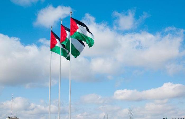 مستشار الرئيس الفلسطيني يشكر قطر ويعلق: ما يحدث في البحرين "ورشة" لن نشارك فيها