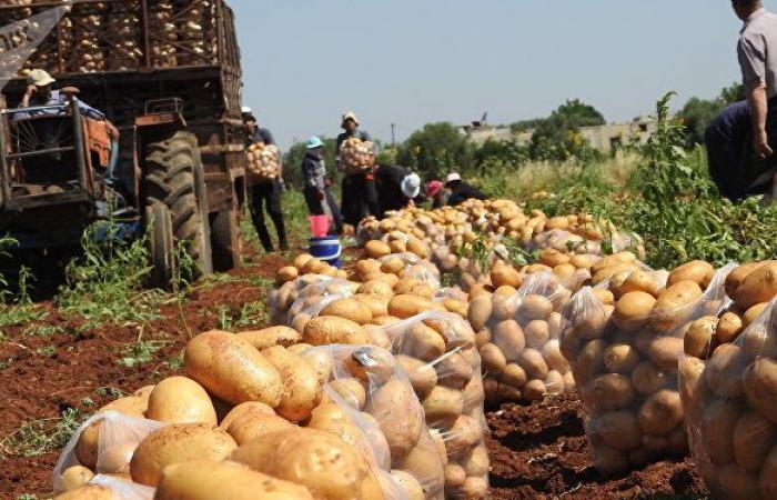 وزير الزراعة السوري: أضرار القطاع الزراعي والحيواني بلغت 16 مليار دولار