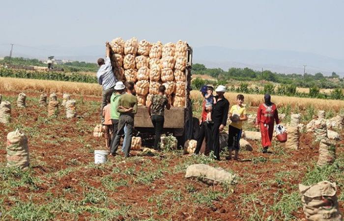 وزير الزراعة السوري: أضرار القطاع الزراعي والحيواني بلغت 16 مليار دولار