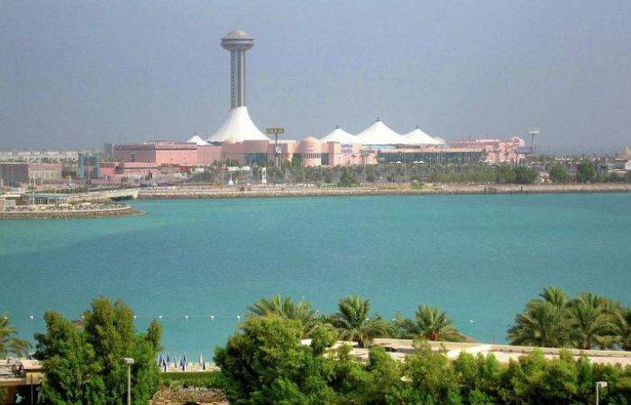 الإمارات تعلن رسميا قرارها بشأن المشاركة في "ورشة البحرين"