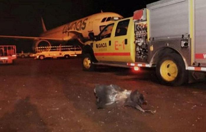 مصادر سعودية: الملاحة بمطار أبها طبيعية بعد اعتراض طائرة للحوثيين