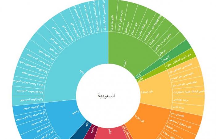 التعليم العالي الأردنية: 5 تخصصات مطلوبة لسوق العمل بالخليج