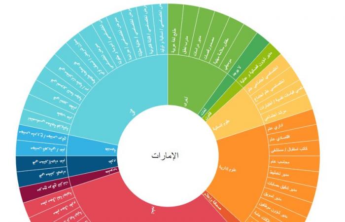 التعليم العالي الأردنية: 5 تخصصات مطلوبة لسوق العمل بالخليج