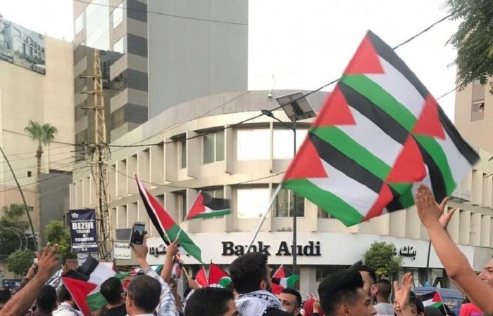 بالفيديو.. تظاهرة فلسطينية لبنانية رفضاً لقرارات وزير العمل