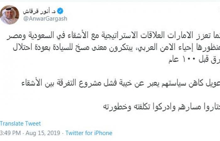 الإمارات تؤكد أن علاقتها مع السعودية ومصر "أمن عربي"