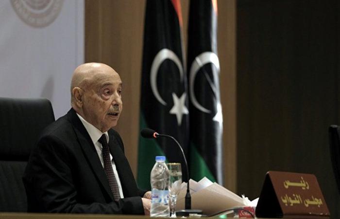 مجلس النواب الليبي يطالب بالتصدي لـ"العصابات المارقة" في مرزق