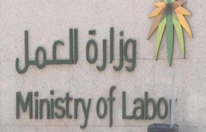 السعودية تسمح بتسجيل 19 مهنة محاسبية للوافدين أول سبتمبر