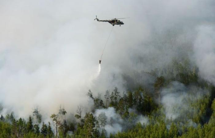 مساحة حرائق الغابات في روسيا تتسع خلال الـ24 ساعة الأخيرة 7.7 ألف هكتار