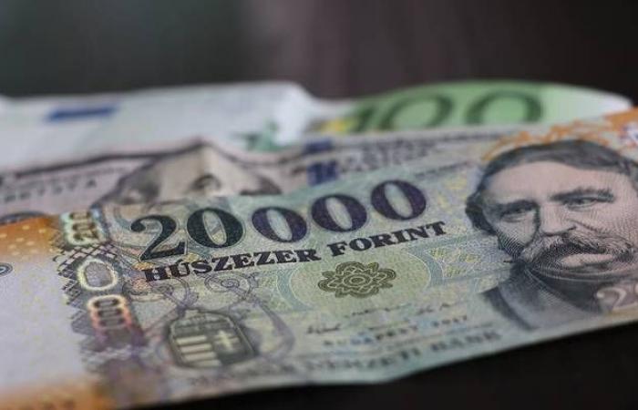 عملة المجر تتراجع لمستوى قياسي متدني أمام اليورو