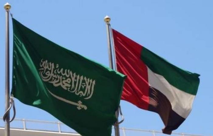 التبادل التجاري الإماراتي ـ السعودي يتجاوز 113 مليار دولار
