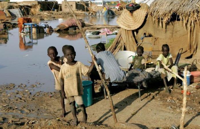 نقل 1.6 مليون جرعة من اللقاحات ضد الكوليرا إلى السودان
